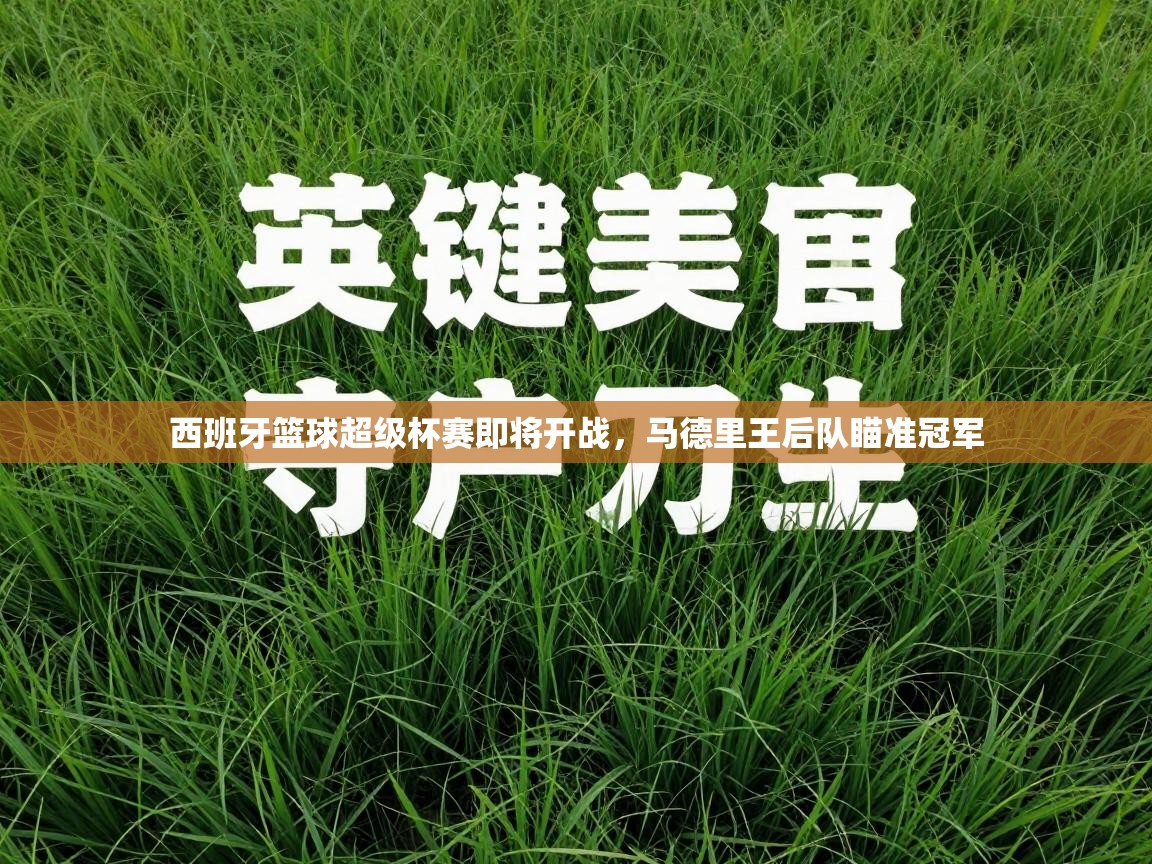 西班牙篮球超级杯赛即将开战,马德里王后队瞄准冠军 第1张